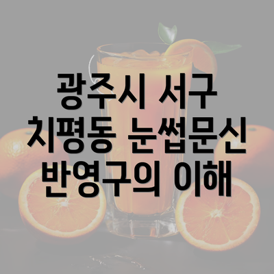 광주시 서구 치평동 눈썹문신 반영구의 이해