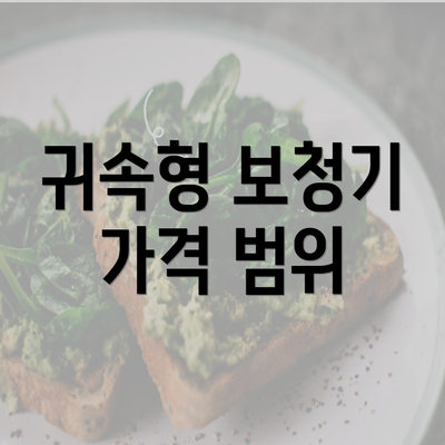 귀속형 보청기 가격 범위