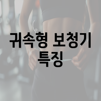 귀속형 보청기 특징