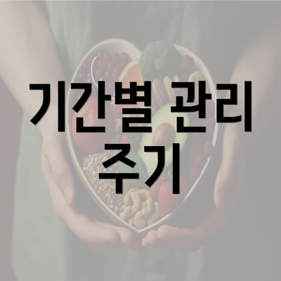 기간별 관리 주기