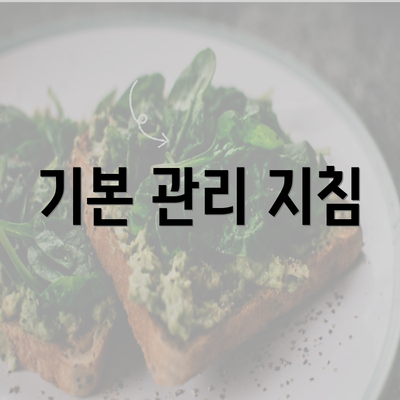 기본 관리 지침