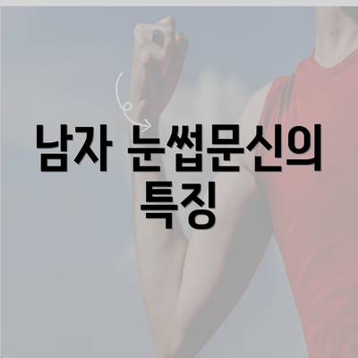 남자 눈썹문신의 특징