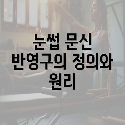 눈썹 문신 반영구의 정의와 원리