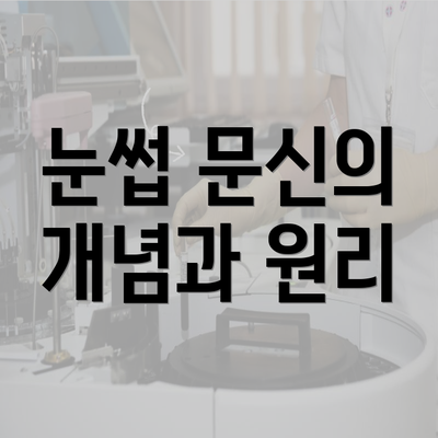 눈썹 문신의 개념과 원리