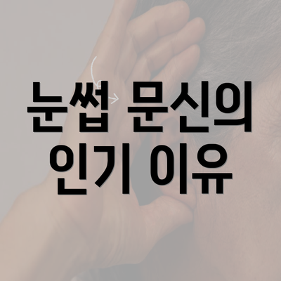 눈썹 문신의 인기 이유