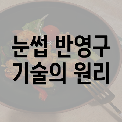 눈썹 반영구 기술의 원리