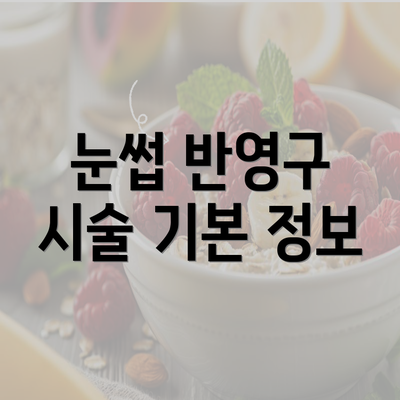 눈썹 반영구 시술 기본 정보