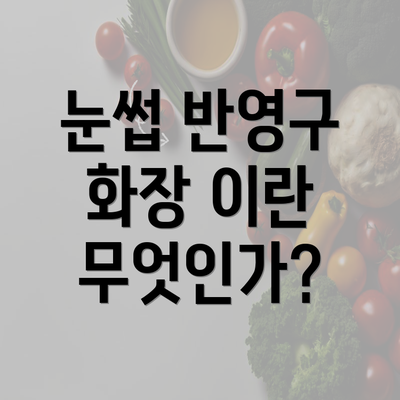 눈썹 반영구 화장 이란 무엇인가?