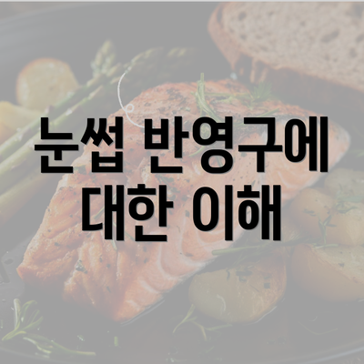 눈썹 반영구에 대한 이해