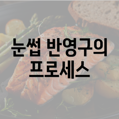 눈썹 반영구의 프로세스