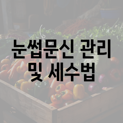 눈썹문신 관리 및 세수법