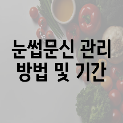 눈썹문신 관리 방법 및 기간