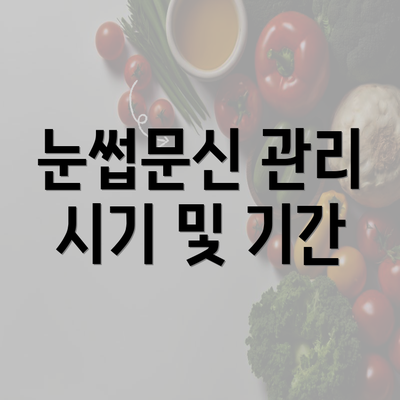 눈썹문신 관리 시기 및 기간