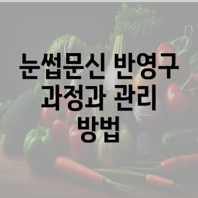 눈썹문신 반영구 과정과 관리 방법