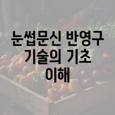 눈썹문신 반영구 기술의 기초 이해