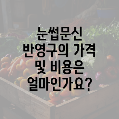 눈썹문신 반영구의 가격 및 비용은 얼마인가요?