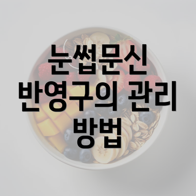 눈썹문신 반영구의 관리 방법