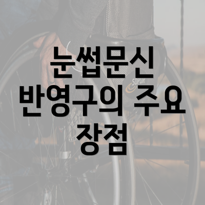 눈썹문신 반영구의 주요 장점