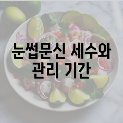 눈썹문신 세수와 관리 기간