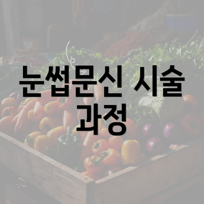 눈썹문신 시술 과정