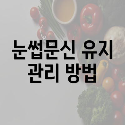 눈썹문신 유지 관리 방법