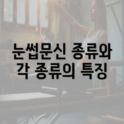 눈썹문신 종류와 각 종류의 특징