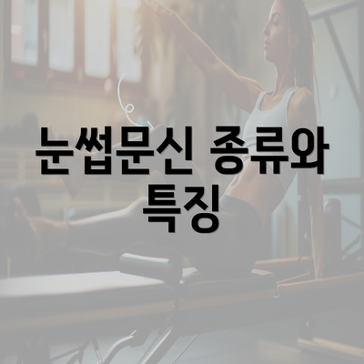 눈썹문신 종류와 특징