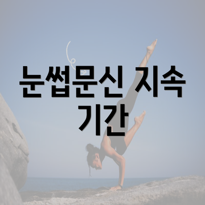 눈썹문신 지속 기간