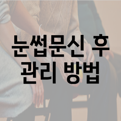 눈썹문신 후 관리 방법