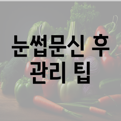 눈썹문신 후 관리 팁