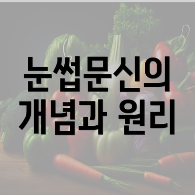 눈썹문신의 개념과 원리