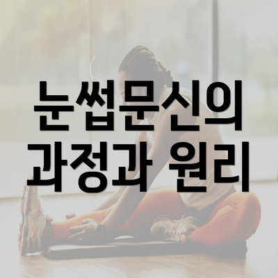 눈썹문신의 과정과 원리