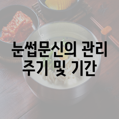 눈썹문신의 관리 주기 및 기간