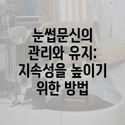 눈썹문신의 관리와 유지: 지속성을 높이기 위한 방법