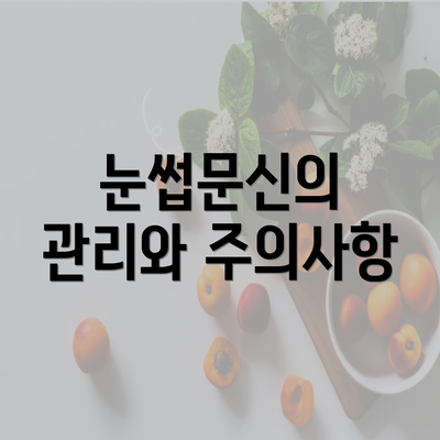 눈썹문신의 관리와 주의사항