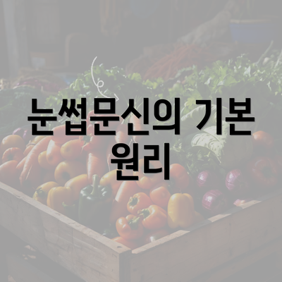 눈썹문신의 기본 원리