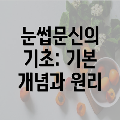 눈썹문신의 기초: 기본 개념과 원리