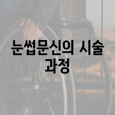 눈썹문신의 시술 과정