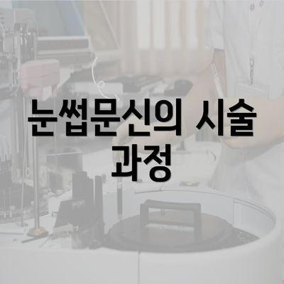 눈썹문신의 시술 과정