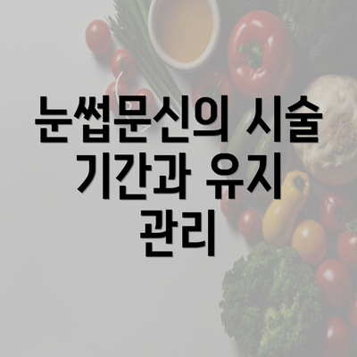 눈썹문신의 시술 기간과 유지 관리