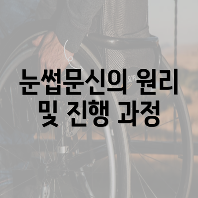 눈썹문신의 원리 및 진행 과정