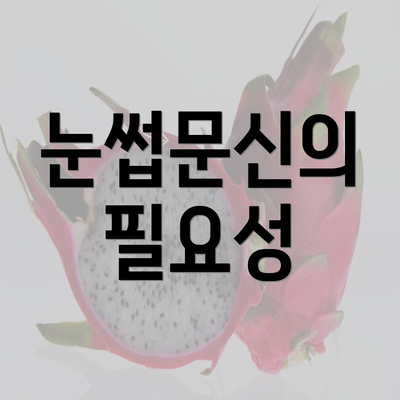 눈썹문신의 필요성