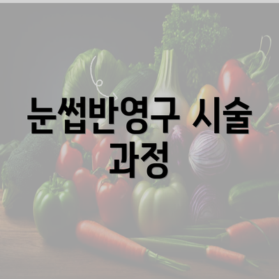 눈썹반영구 시술 과정