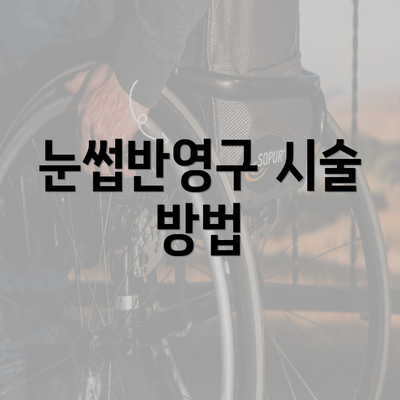 눈썹반영구 시술 방법