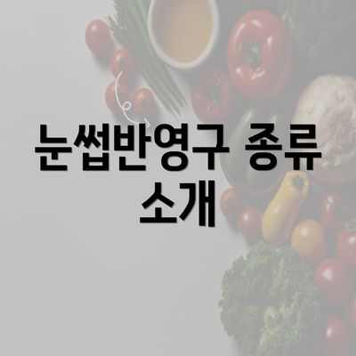 눈썹반영구 종류 소개