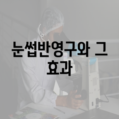 눈썹반영구와 그 효과