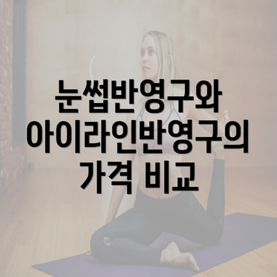 눈썹반영구와 아이라인반영구의 가격 비교