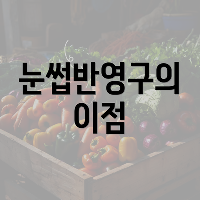 눈썹반영구의 이점