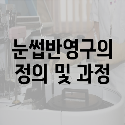 눈썹반영구의 정의 및 과정