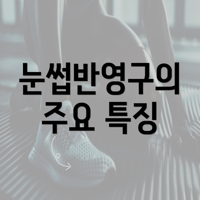 눈썹반영구의 주요 특징